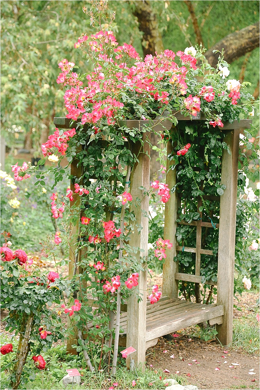 Descanso Gardens Wedding_5521.jpg