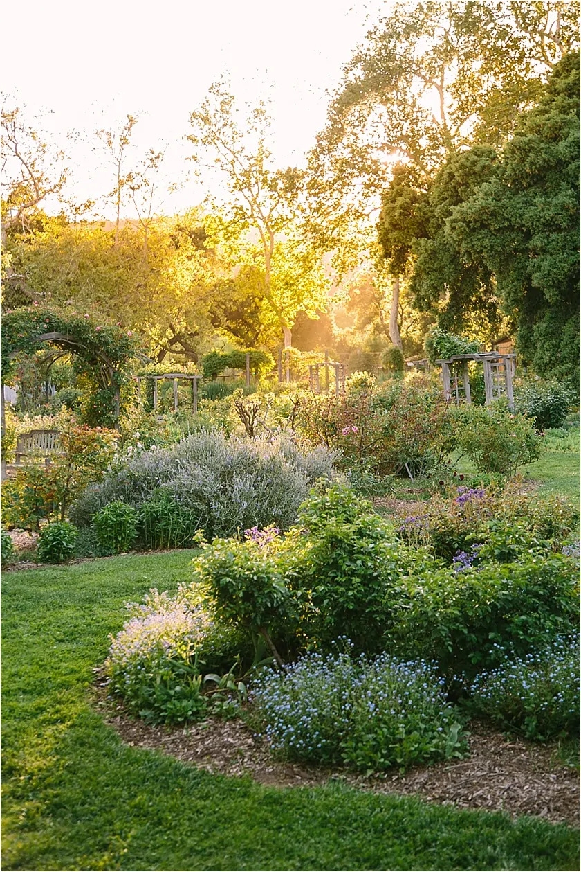 Descanso Gardens Wedding_9413.jpg