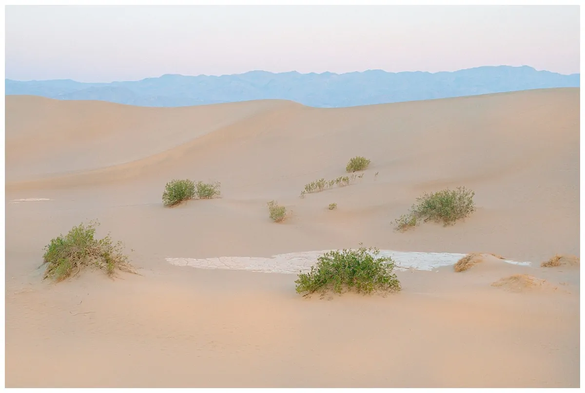Death Valley_0523.jpg