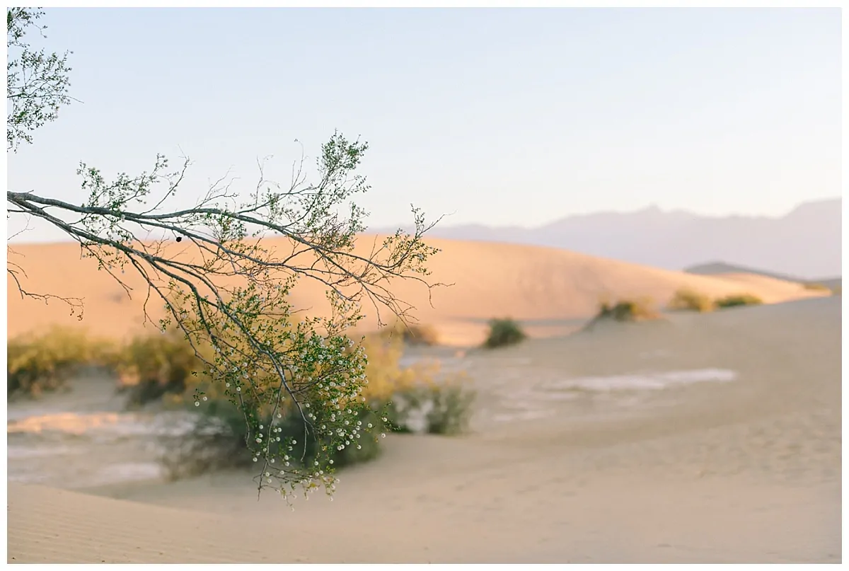 Death Valley_0535.jpg