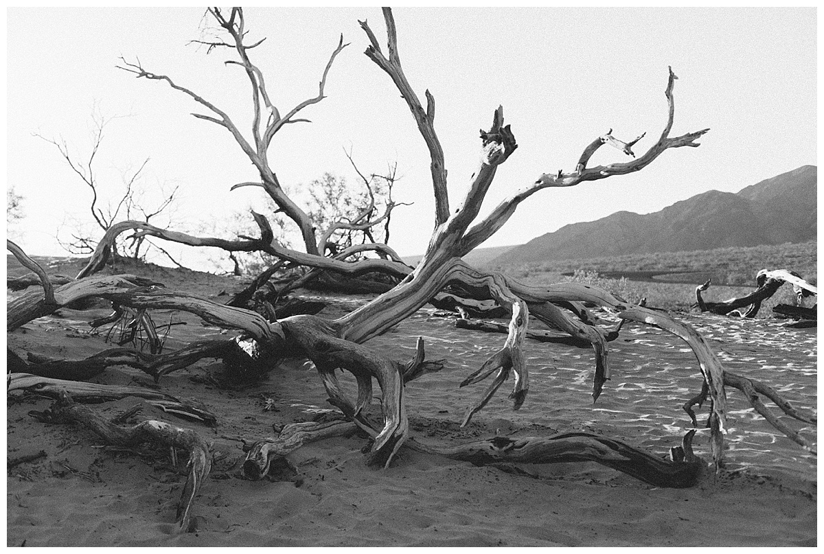 Death Valley_0539.jpg