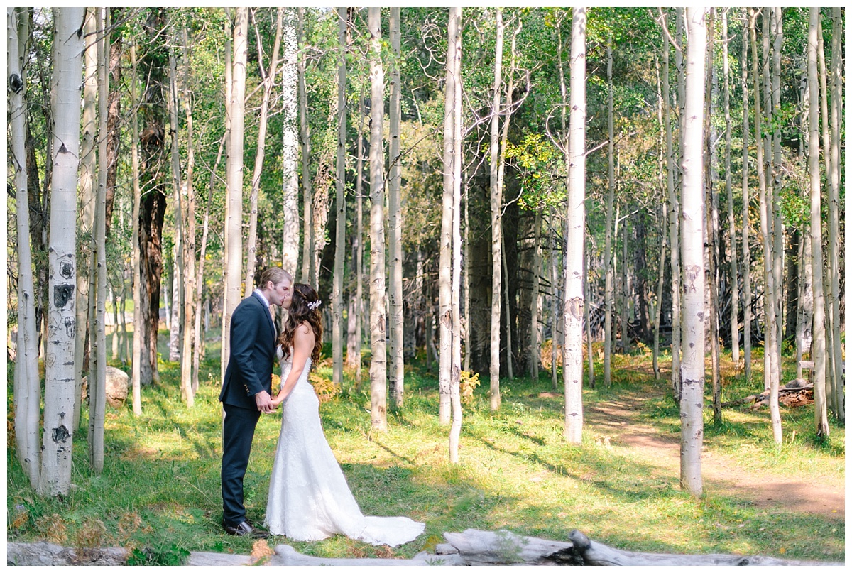 Arizona Snowbowl Wedding_1199.jpg
