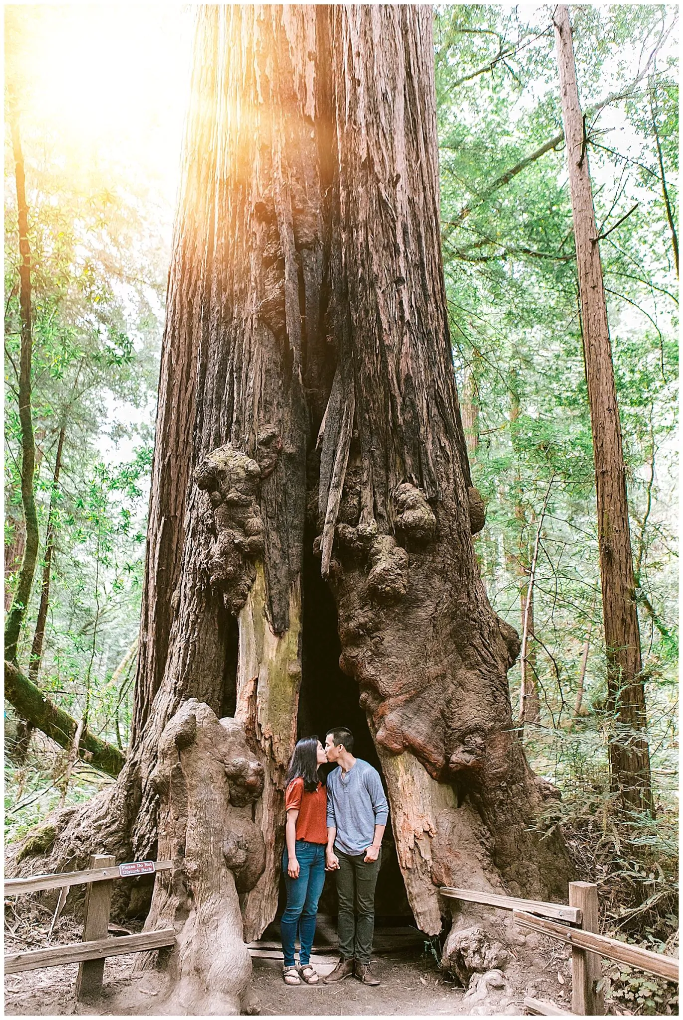 Muir Woods Engagement_1945.jpg