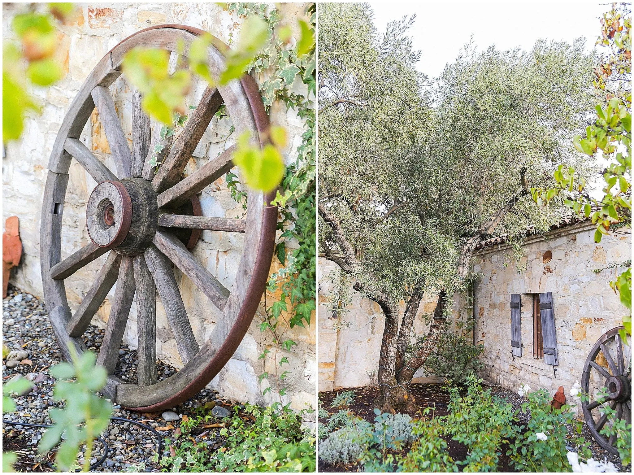 Holman Ranch Wedding_2572.jpg