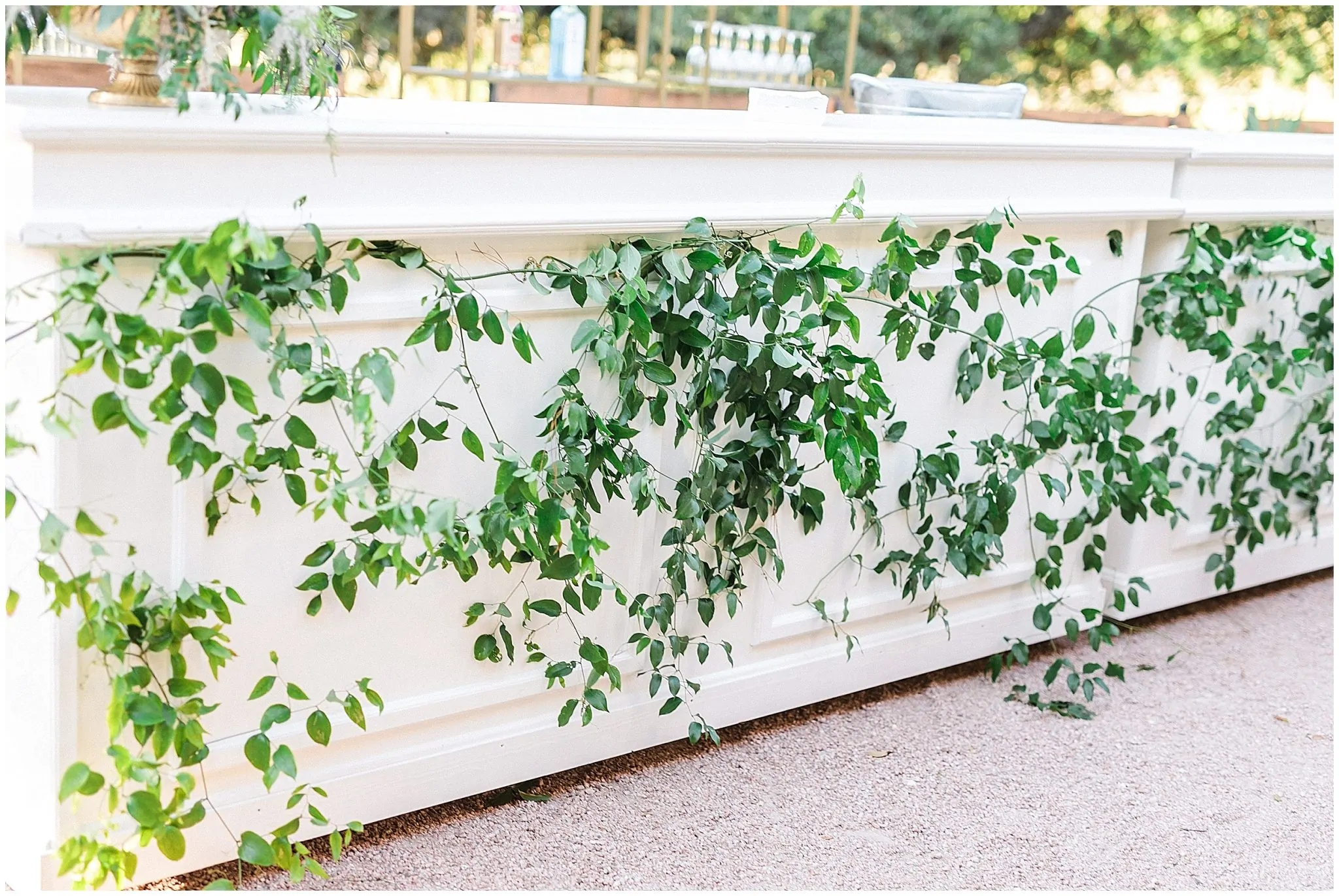 The Addison Grove Wedding_3237.jpg The Addison Grove Wedding_3237.jpg