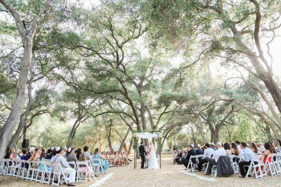 The Addison Grove Wedding