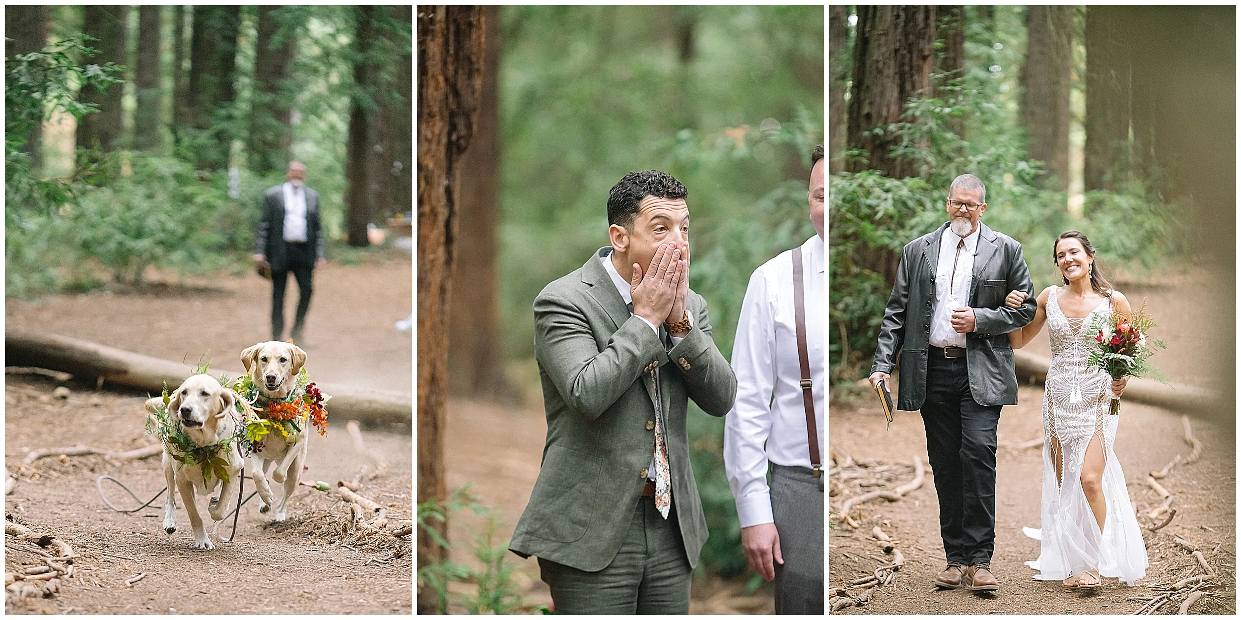 Forest Wedding_3697.jpg