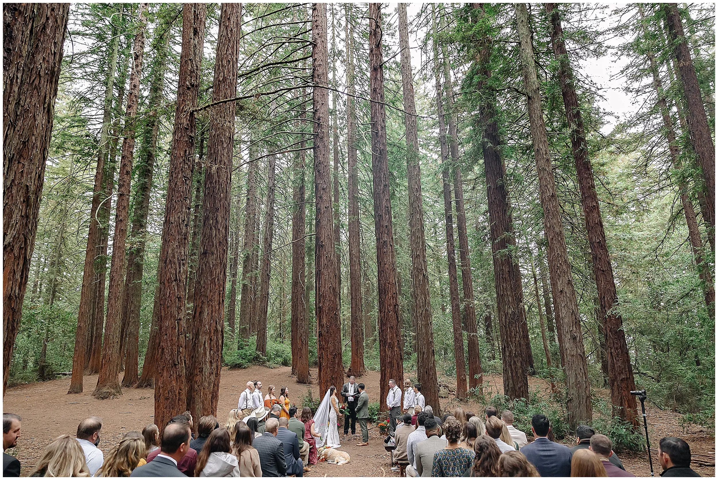 Forest Wedding_3698.jpg