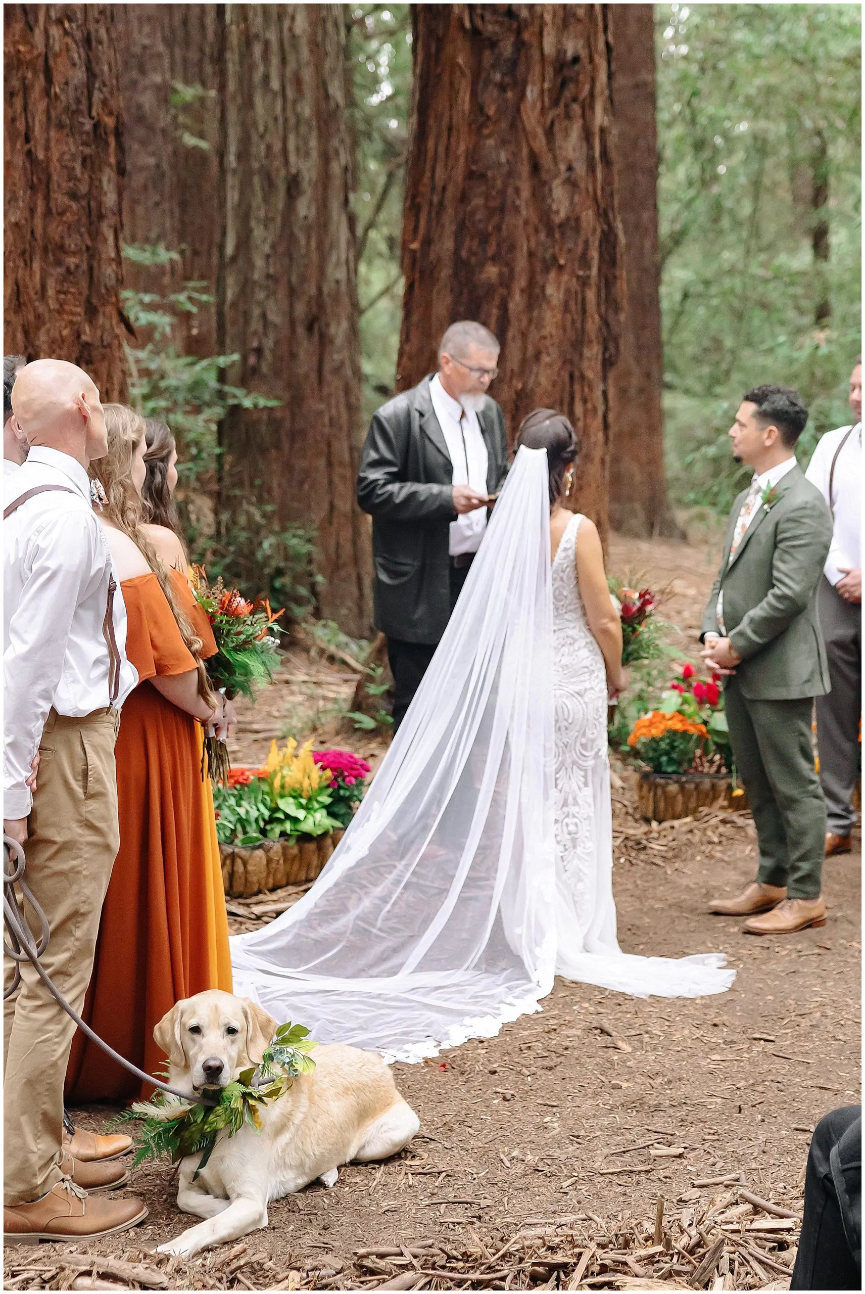 Forest Wedding_3699.jpg