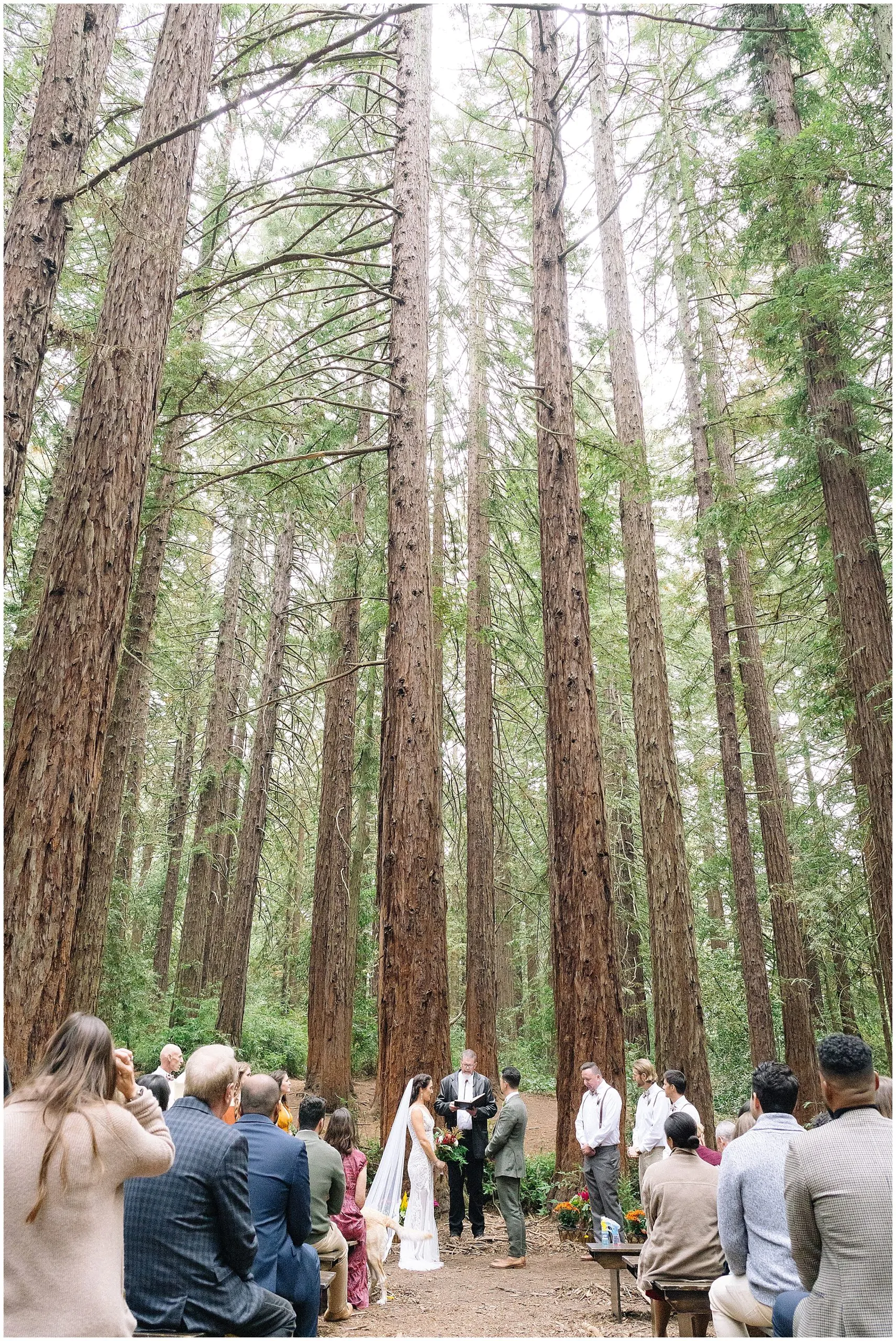 Forest Wedding_3703.jpg