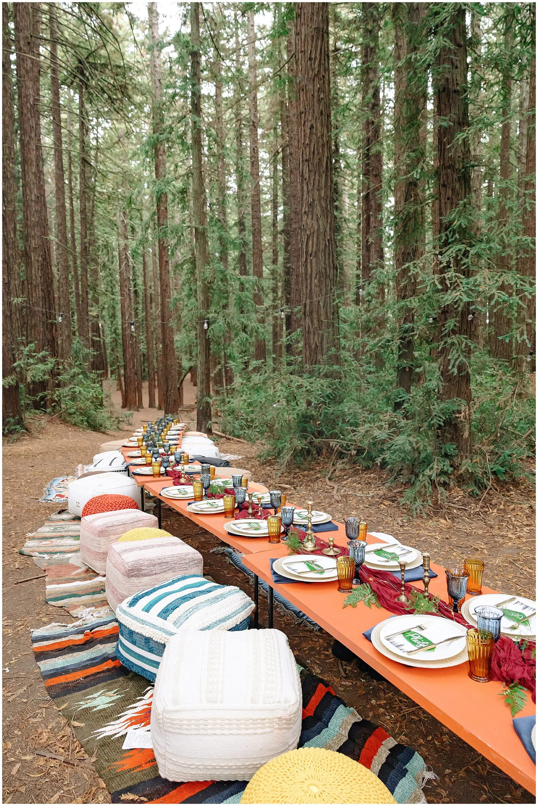 Forest Wedding_3716.jpg