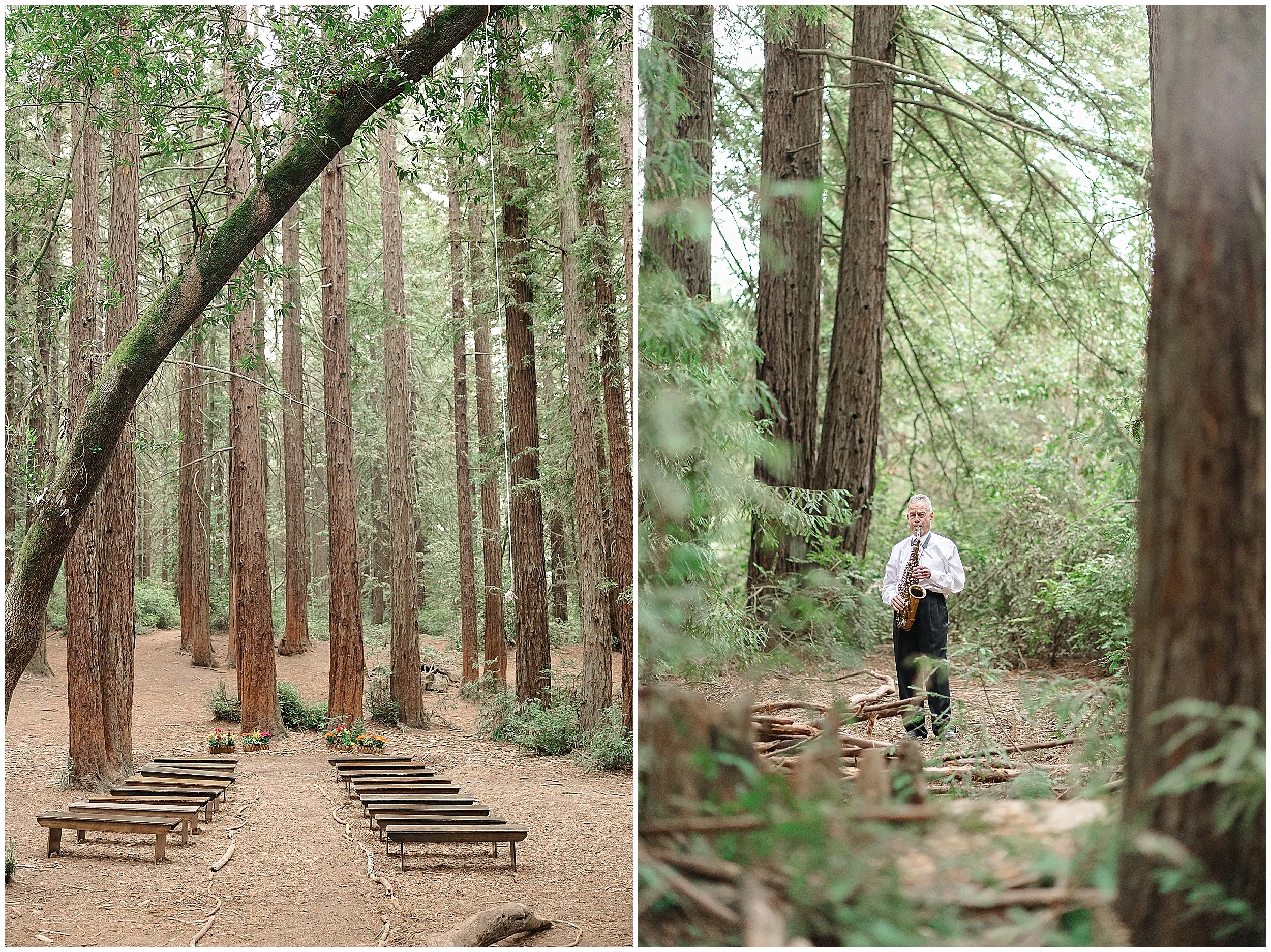 Forest Wedding_3730.jpg
